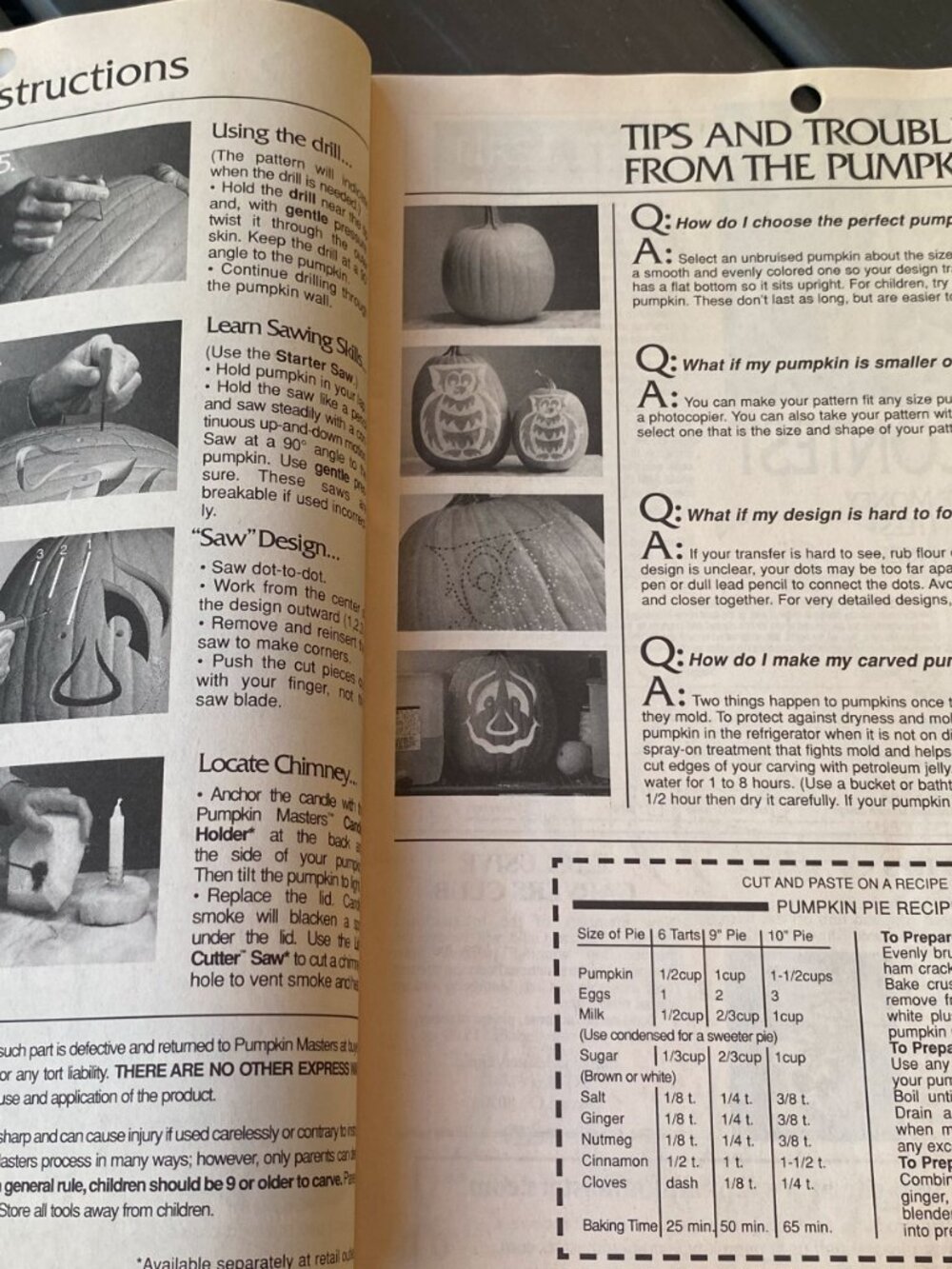 Pumpkin Masters-Lettering/Custom Craving Patterns book! - Picture 3 of 8
